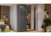 Шкаф-купе с 1 глухой и 1 зеркальной дверями «Оскар Хилтон» Ручка серебро, Серый графит, Графит матовый