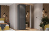 Шкаф-купе с 1 глухой и 1 зеркальной дверями «Оскар Хилтон» Ручка черная, Серый графит, Графит матовый