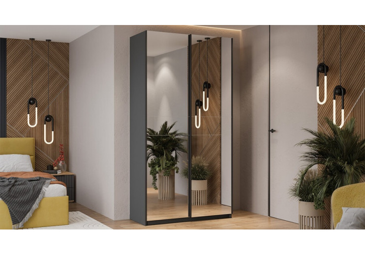 Шкаф-купе с 2 зеркальными дверями «Оскар» Ручка черная, Серый графит