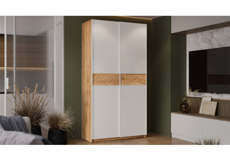 Шкаф-купе с 2 глухими дверями «Оскар Скания» Ручка белая, Дуб Крафт золотой, Белый снег, Дуб тортугга