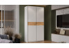 Шкаф-купе с 2 глухими дверями «Оскар Скания» Ручка серебро, Белый снег, Дуб тортугга