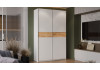 Шкаф-купе с 2 глухими дверями «Оскар Скания» Ручка серебро, Белый снег, Дуб тортугга