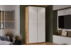 Шкаф-купе с 2 глухими дверями «Оскар Скания» Ручка серебро, Дуб Крафт золотой, Белый снег, Белый матовый