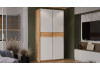Шкаф-купе с 2 глухими дверями «Оскар Скания» Ручка серебро, Дуб Крафт золотой, Белый снег, Дуб тортугга
