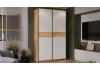 Шкаф-купе с 2 глухими дверями «Оскар Скания» Ручка черная, Дуб Крафт золотой, Белый снег, Дуб тортугга